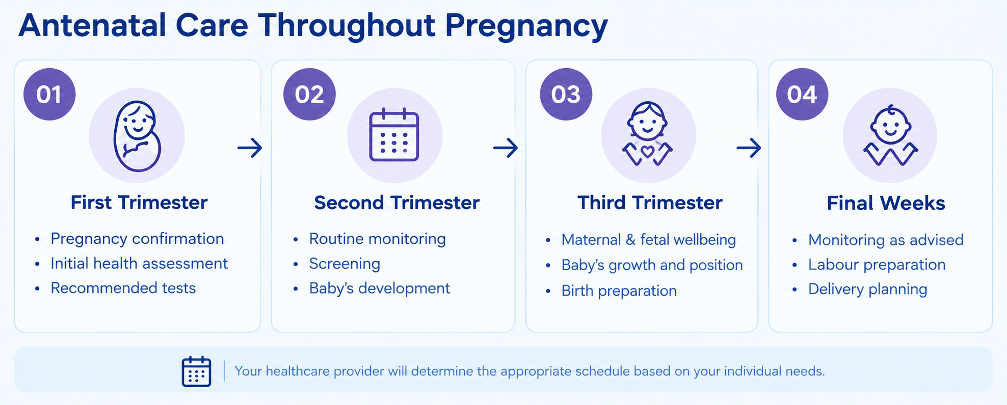 Infographic showing antenatal care throughout pregnancy